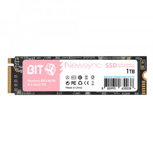 비트엠 Newsync BITS M.2 NVMe (1TB)