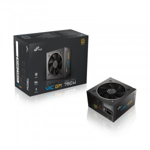 FSP FSP VIC GM 750W 80PLUS골드 풀모듈러 ATX 3.1